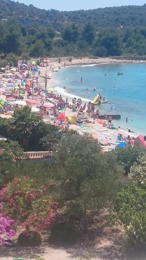 Apartments Villa Erik ロゴズニッツァ エクステリア 写真